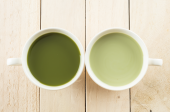 Sự khác nhau giữa matcha và trà xanh