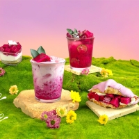 Top 4 Công Thức Thanh Long Đỏ Độc Lạ: Món Quà 20/10 Ngọt Ngào & Bất Ngờ