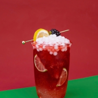 Double Berry Hibiscus Tea